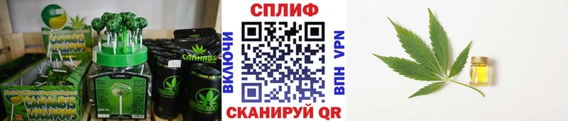 Canna-Cookies марихуана  kraken рабочий сайт  Дагестанские Огни 
