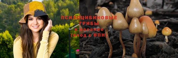 ALPHA-PVP Богородицк