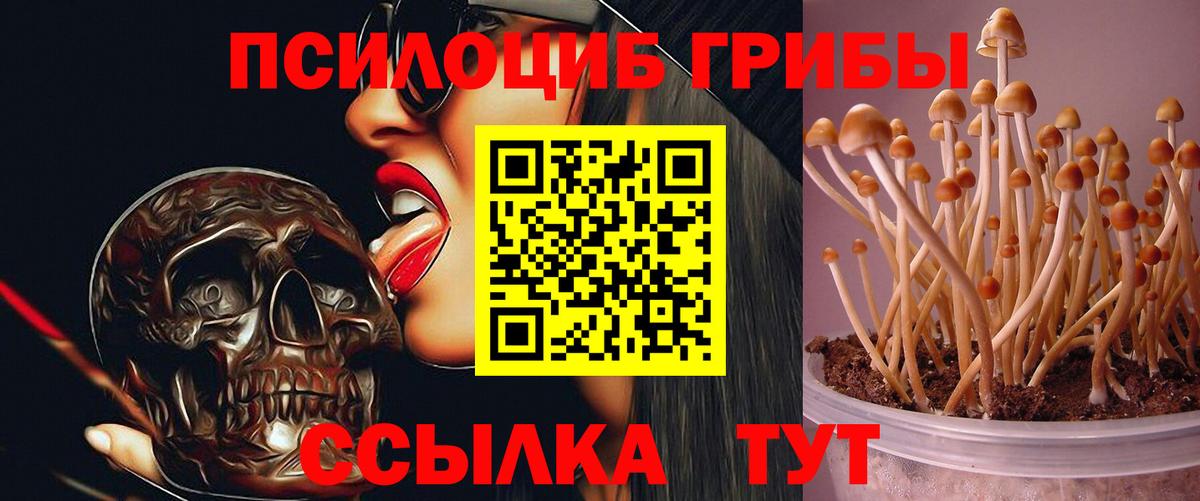 Галлюциногенные грибы MAGIC MUSHROOMS  Галлюциногенные грибы мухоморы  Дагестанские Огни  Вход с VPN 