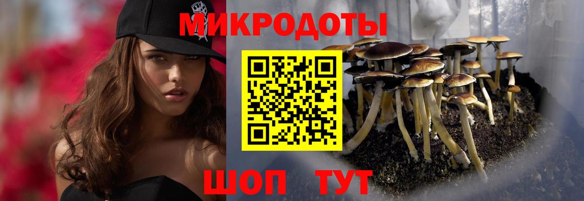 Галлюциногенные грибы Magic Shrooms Дагестанские Огни